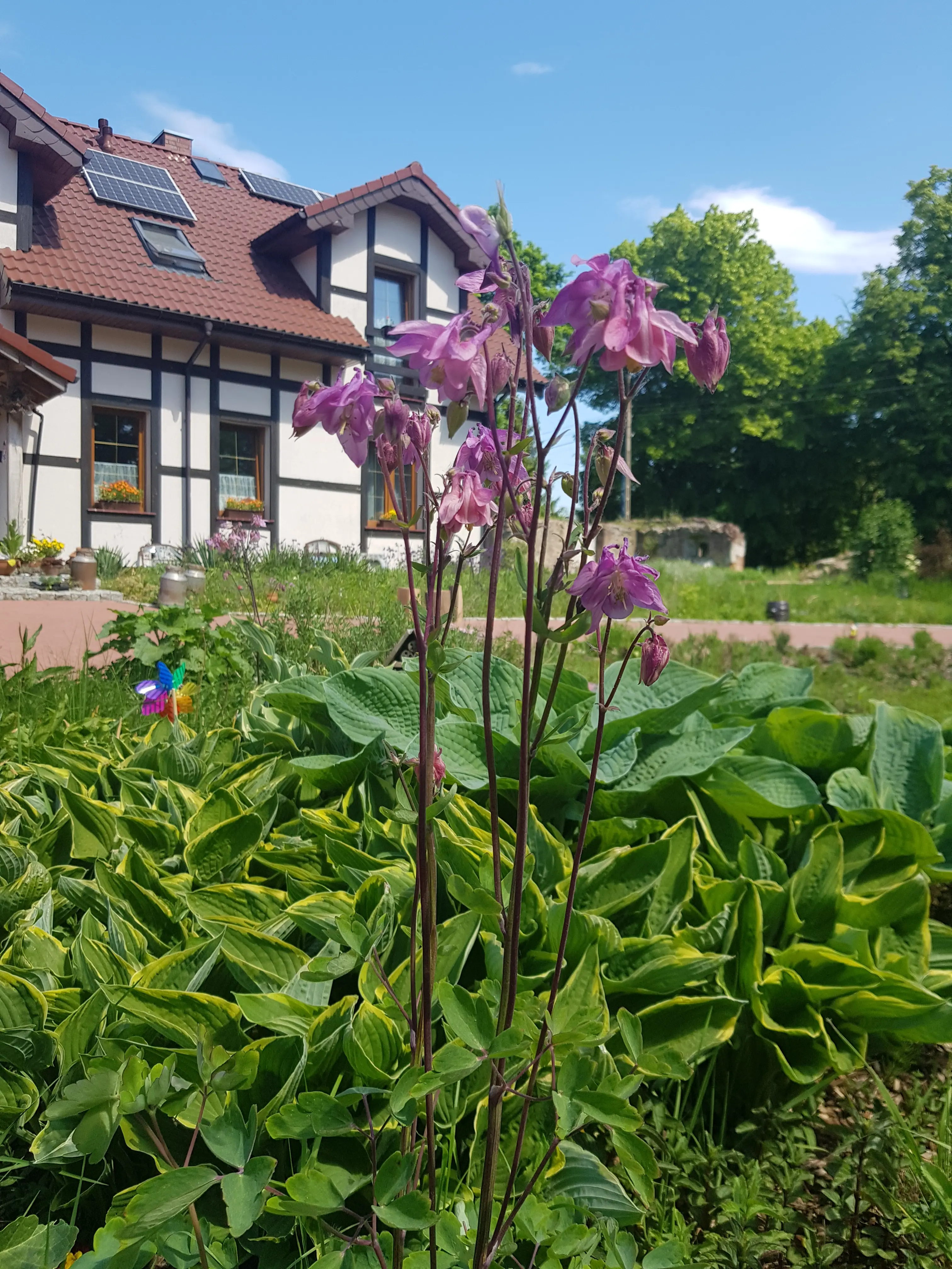Opis zdjęcia 3